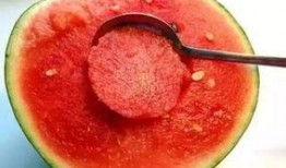 娱乐吃瓜酱颜料,揭秘颜料背后的娱乐风云