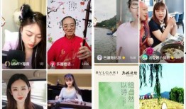 娱乐圈吃瓜冰雨直播视频,一场吃瓜盛宴