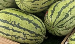 娱乐吃瓜酱重庆山东,揭秘重庆与山东的美食文化碰撞