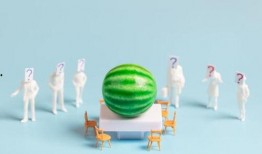 近日娱乐圈吃瓜总结知乎,揭秘明星幕后故事与热点事件